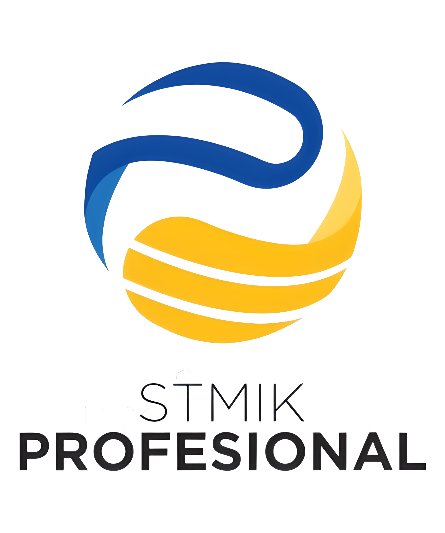 STIMIK Profesional